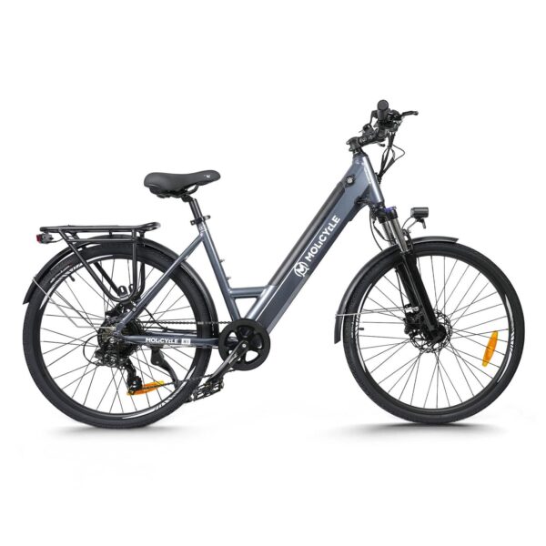 Molicycle R1 250W 26″ electric VTC city bike 14.5 Ah-New